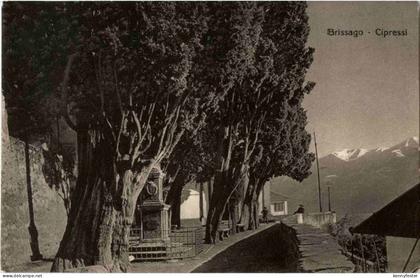 Brissago - Cipressi