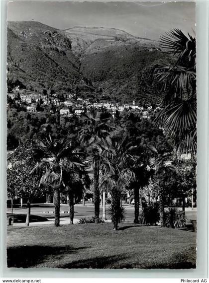 6600 Locarno - Locarno-Orselina Palmen - 11058023