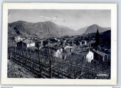 6949 Comano - Weinberge - 51425178