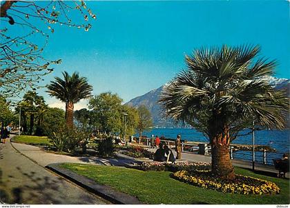 Carte Postale - Suisse - TI Tessin - Locarno - Lago Maggiore - Giardini lungolago - Lac Majeur - Jardins au lac - CPM -