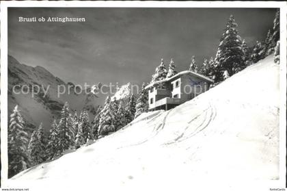 Attinghausen Berghaus Surenen Brusti
