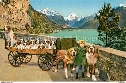 Flueelen UR St Bernhard-Zwinger Zwing-Uri