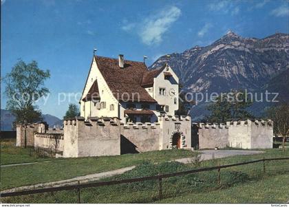 Seedorf UR Schoss a Pro