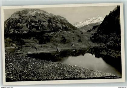 6377 Seelisberg - 39402563