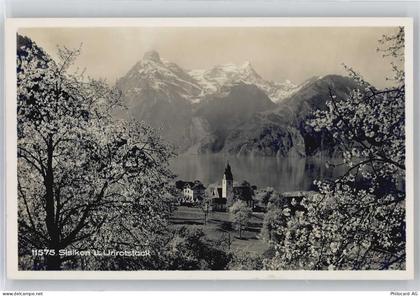 6452 Sisikon - Urirotstock - 50721215