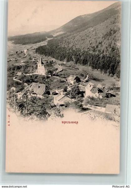 1446 Baulmes - Teilansicht, 1900 gute Erhaltung AK - 13077554