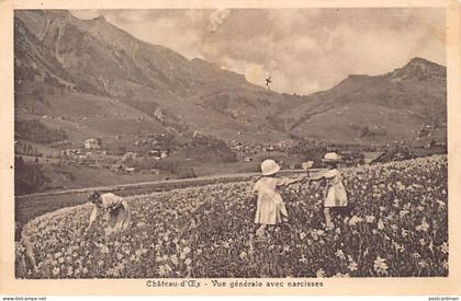 Suisse - CHÂTEAU D'OEX (VD) Vue générale avec narcisses - Ed. A. Lenzi