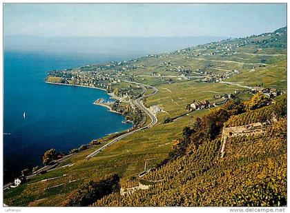 suisse -carte postale grand format - ref 136-vignobles de lavaux -lac leman -cully, grandvaux , epesses , riex -
