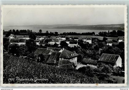 1422 Grandson - 13124738