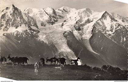 [-15%] SUISSE - La Praz - Le massif du Mont Blanc vu de Plan Praz -Troupeau de chèvres - Carte Postale Ancienne