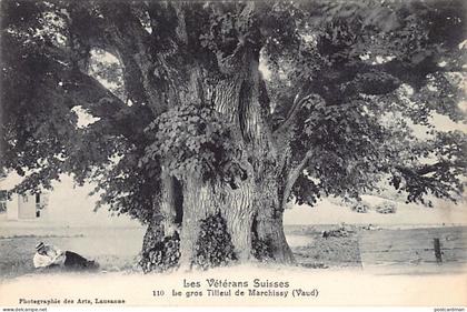 Suisse - MARCHISSY (VD) Le gros Tilleul - Les vétérans suisses - Ed. Photograhie des Arts 110