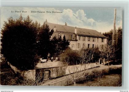1052 Le Mont-sur-Lausanne 1913 - Hotel Pension Villa Hortensia, gute Erh... - 13078943