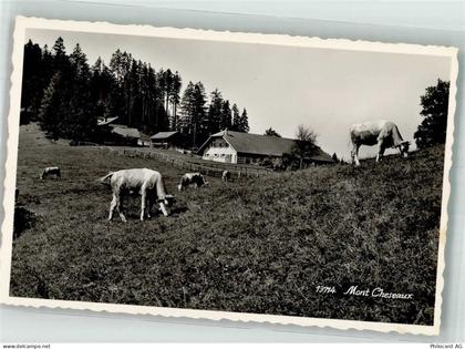 1070 Puidoux Foto AK Mont Cheseaux - 38216993
