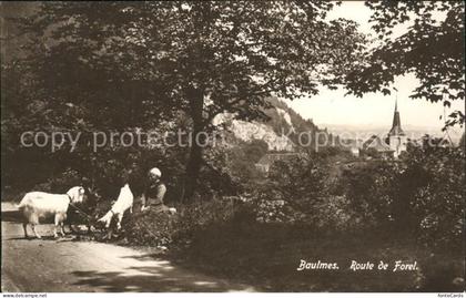 Baulmes Route de Forel