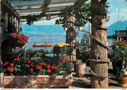 CPM Lac Leman Vue pittoresque sur le lac Leman