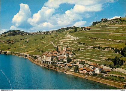 CPM Saint Saphorin pres Vevey Vignobles de Lavaux Lac Leman Photoglob Wehrli S A Zurich Vevey