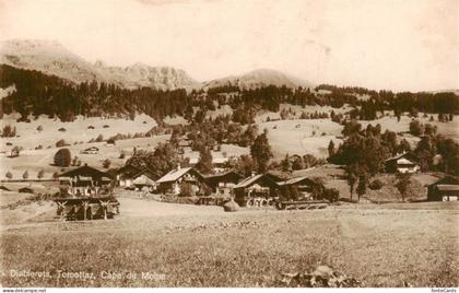 Diablerets Diablerets Les Cape du Moine