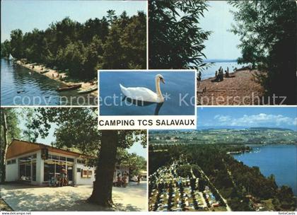 Salavaux Camping TCS Lac de Morat Schwan