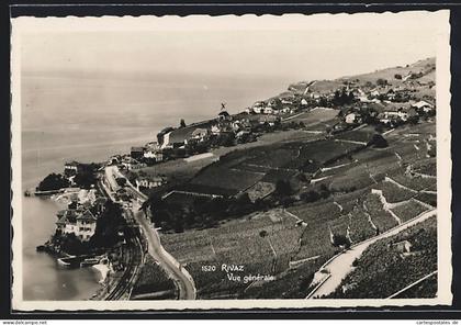 AK Rivaz, Vue générale