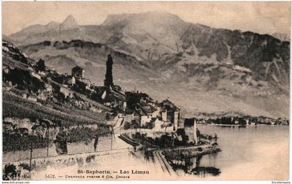 CPA  Carte Postale Suisse Saint-Saphorin Lac Léman  début 1900 VM96089ok