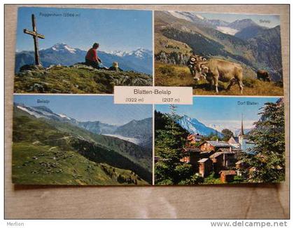 CH -  Blatten -Belalp  - D87528