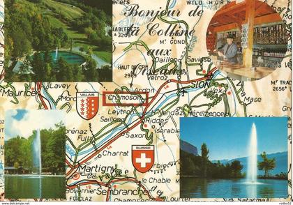 CPM - Chamoson - Un Bonjour de la colline aux Oiseaux --  Restaurant