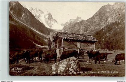 l'Arpette 1913 - Pointe d Orny - 10612205