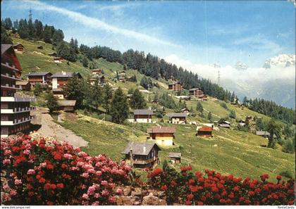 Les Mayens de Riddes Teilansicht Alpenblick