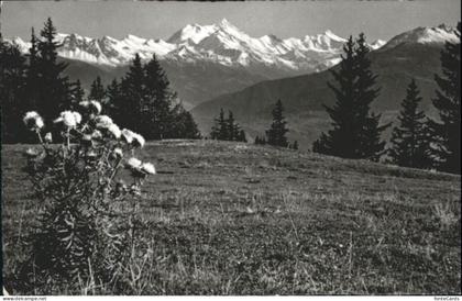 Sierre VS Sierre