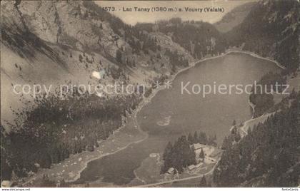 Vouvry Lac Tanay Fliegeraufnahme