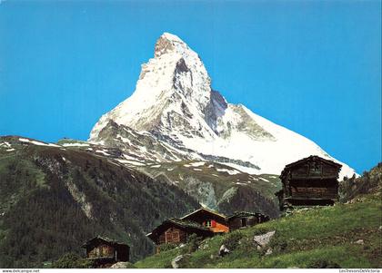SUISSE - Matterhorn - Cervin - Glacier - Montagne -Hhabitation - Village - Bois - Verdure -  Paysage - Carte postale