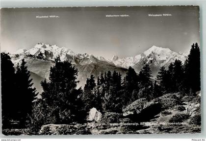 3987 Riederalp - Mischabel Matterhorn Weisshorn - 10498786
