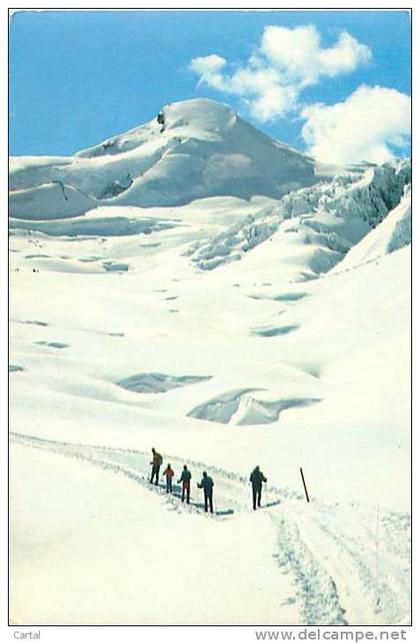 SAAS-FEE - Skigebiet Laqngfluh - Freegletscher (Phot. Klopfenstein, 47986)