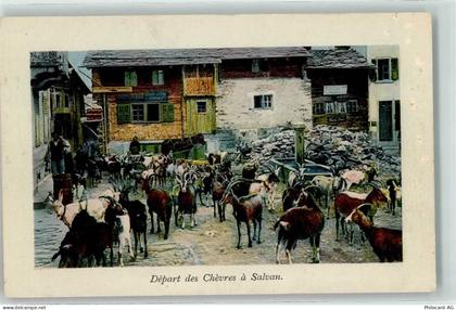 1922 Salvan - Depart des Chevres - 10623371