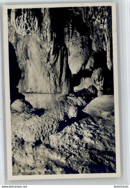 Baar ZG Baar Hoellgrotte Krokodil