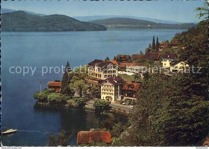 Walchwil Hotel Zugersee Segelboot