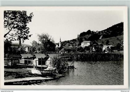 6314 Unterägeri - Partie am See Schwäne - 13123457