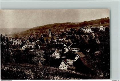 8910 Affoltern am Albis - Panoramaansicht - 13095779