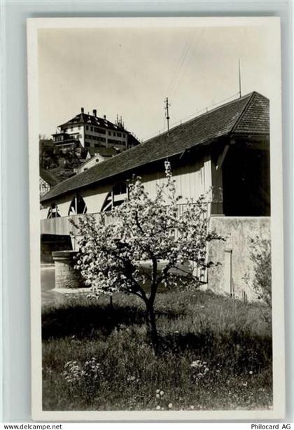 8450 Andelfingen - Baumblüte - 13112046