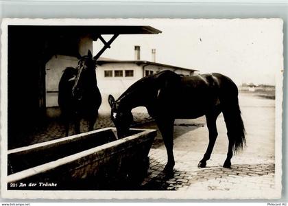 8180 Bülach - An der Tränke Pferde - 13112101
