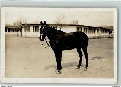 8180 Bülach - Kaserne Pferd - 13112093