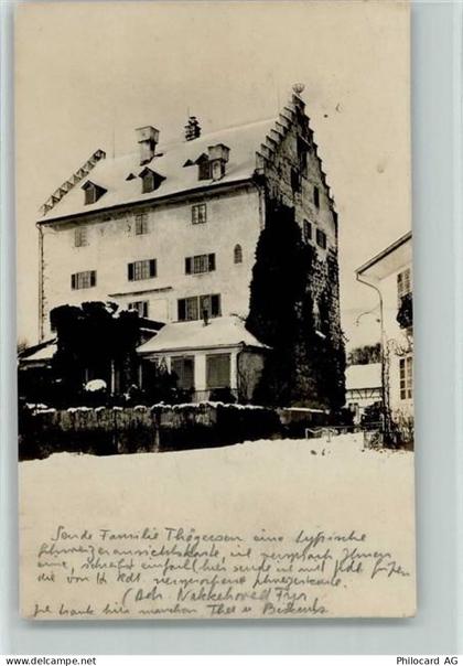 8606 Greifensee - Schloss - 13113007