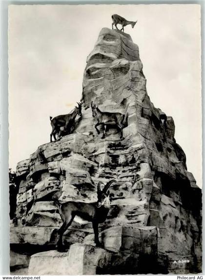 8135 Langnau am Albis - Wildpark Langenberg Steinbock Gämsen - 39490705