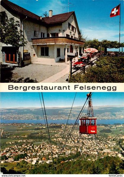 Adliswil ZH Bergrestaurant Felsenegg Luftseilbahn Adliswil Felsenegg