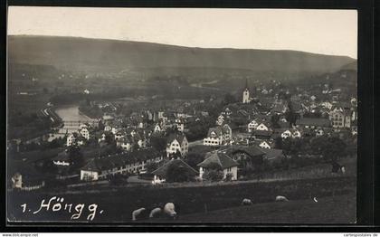 AK Höngg, Ortsansicht mit Flusspartie
