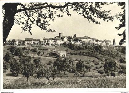 Regensberg Dielsdorf