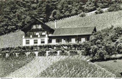 Weiningen  Dietikon ZH Restaurant Winzerhaus Weinberge