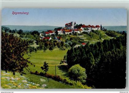 8158 Regensberg - 10198187