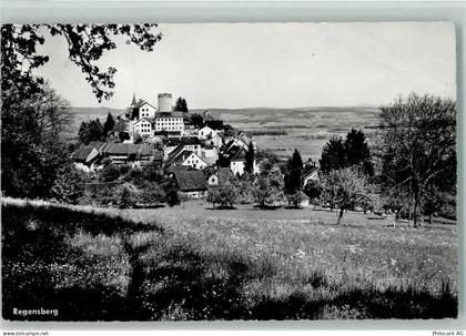 8158 Regensberg - 13113020