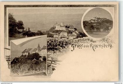 8158 Regensberg - 52220300